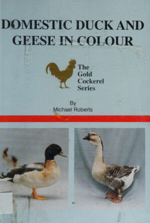 domestic duck and geese in colour michael roberts roberts m.jpg