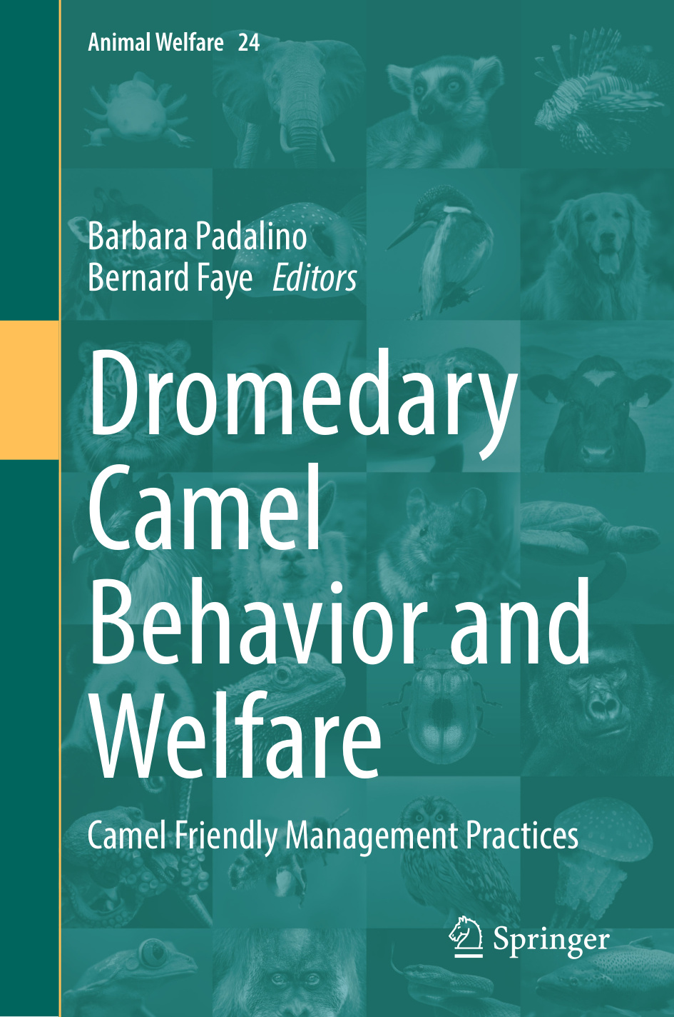 dromedary camel behavior and welfare camel friendly managem.jpg dromedary camel behavior and welfare camel friendly managem.jpg