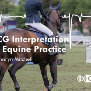 ecg interpretation in equine practice unknown