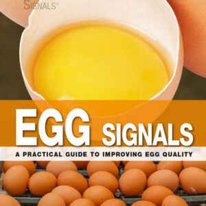 egg signals a practical guide to improving egg quality ere.jpg