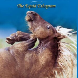 equid ethogram, a practical field guide to horse behavior, the unknown