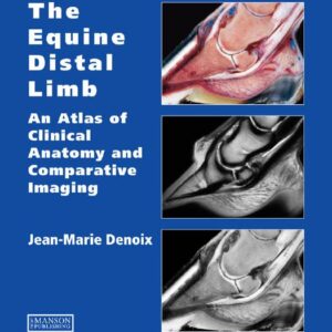 equine distal limb, the denoix, jean marie