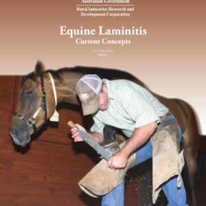 equine laminitis, current concepts unknown