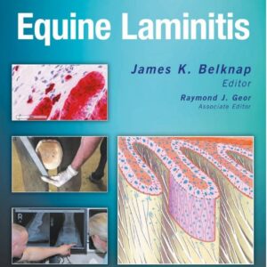 equine laminitis unknown