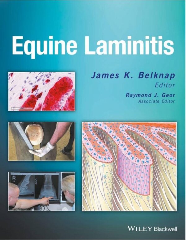 equine laminitis unknown