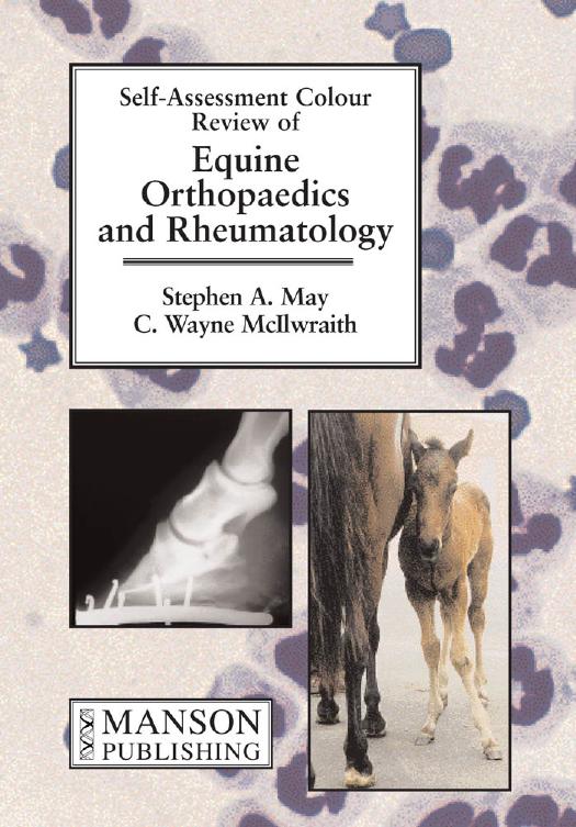 equine orthopaedics & rheumatology may, stephen a., mcilwraith, c. wayne equine orthopaedics & rheumatology may, stephen a., mcilwraith, c. wayne