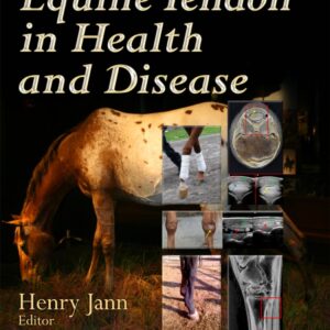 equine tendon in health and disease someauthor