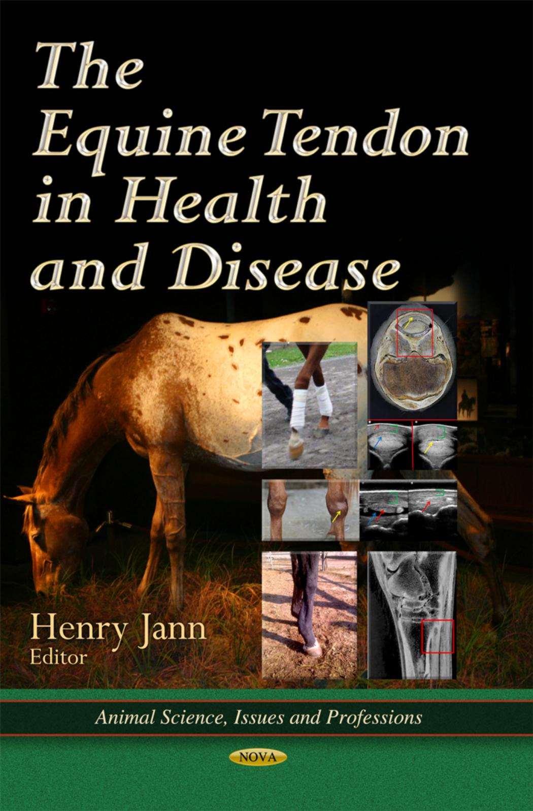 equine tendon in health and disease someauthor equine tendon in health and disease someauthor
