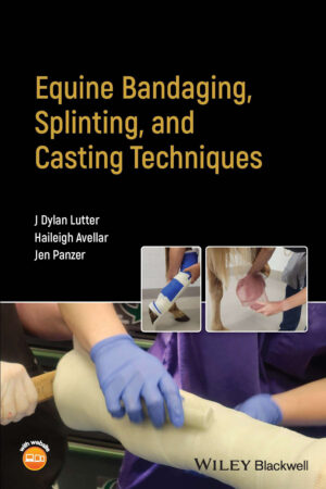 equine bandaging splinting and casting techniques ereadsp.jpg
