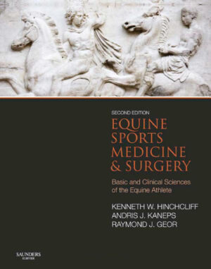 equine sports medicine and surgery 2nd edition ereadspot.jpg
