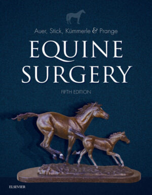 equine surgery 5th edition ereadspot com .jpg