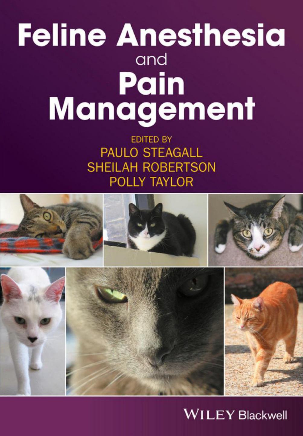 feline anesthesia and pain management ereadspot com .jpg feline anesthesia and pain management ereadspot com .jpg