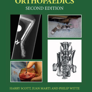 feline orthopaedics 2nd edition ereadspot com .jpg
