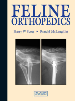 feline orthopedics ereadspot.jpg