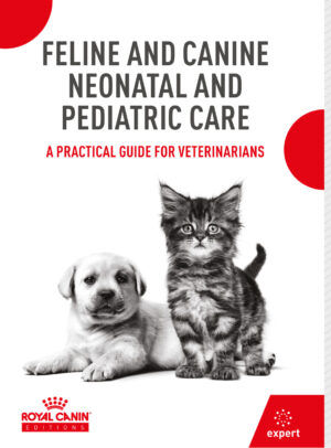 feline and canine neonatal and pediatric care ereadspot.jpg