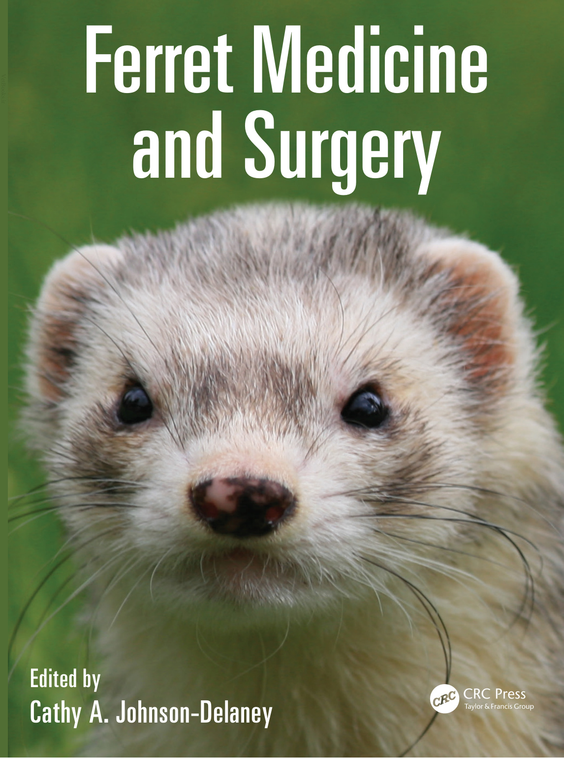 ferret medicine and surgery.jpg ferret medicine and surgery.jpg