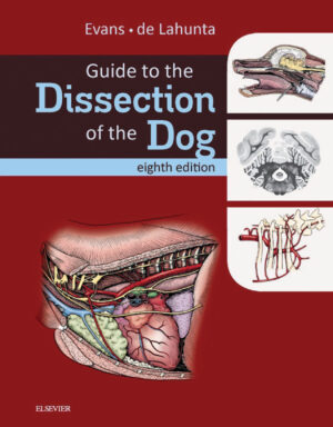guide to the dissection of the dog 8th edition ereadspot c.jpg