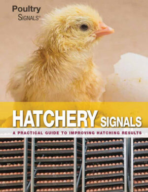 hatchery signals ereadspot.jpg