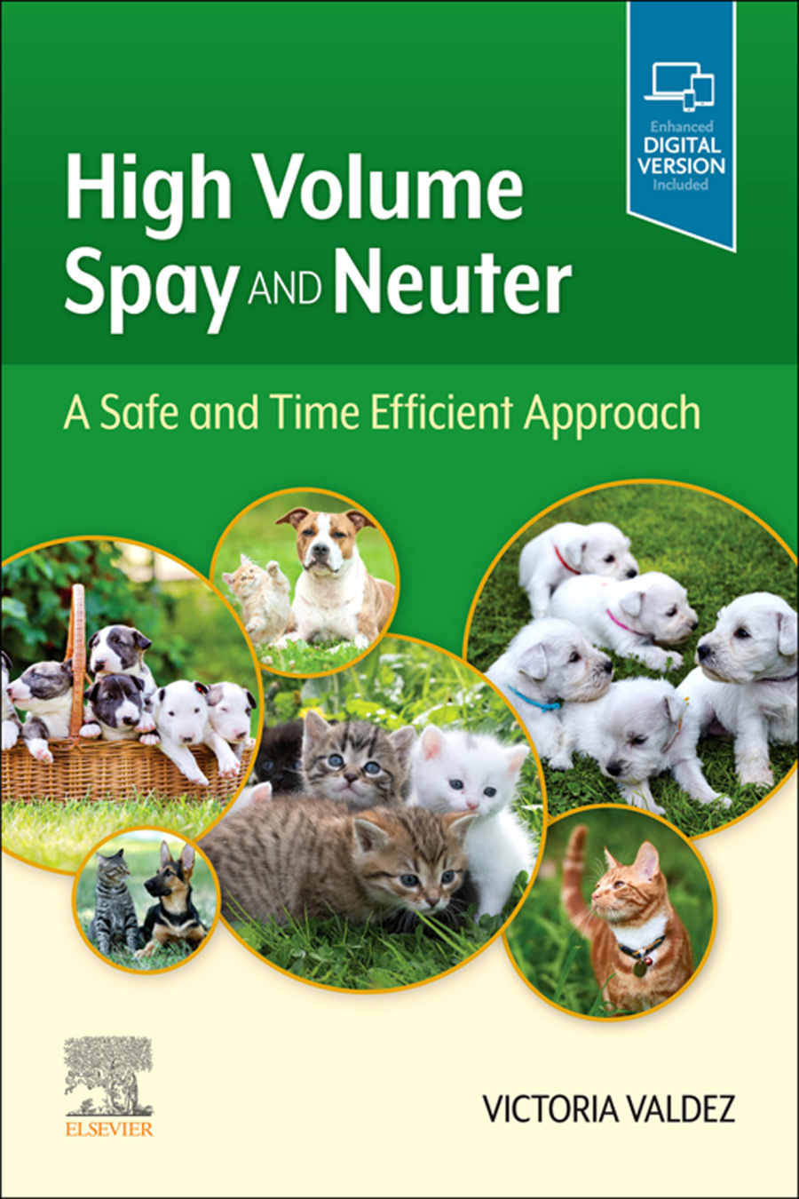 high volume spay and neuter a safe and time efficient approa.jpg