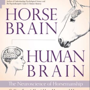 horse brain human brain unknown