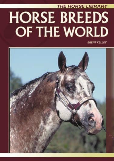 horse breeds of the world unknown horse breeds of the world unknown