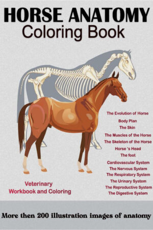 horse anatomy coloring book ereadspot com .jpg