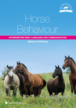 horse behaviour interpreting body language and communicatio.jpg