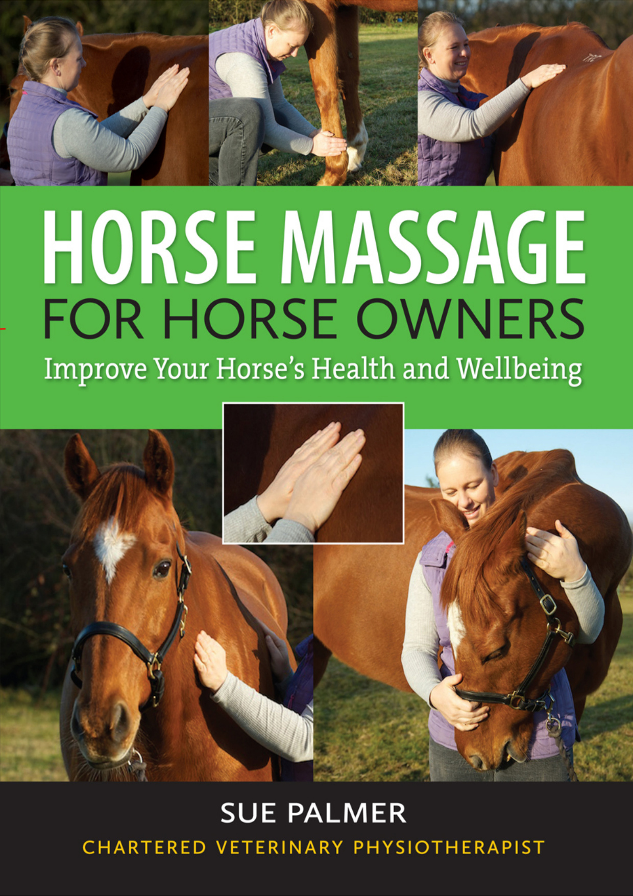 horse massage for horse owners improve your horse s health a.jpg