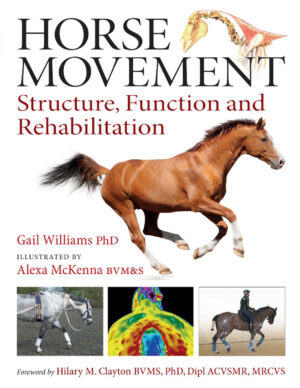 horse movement structure function and rehabilitation eread.jpg