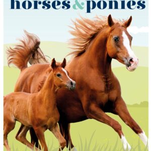 horses and ponies, everything you need to know, from bridles and breeds to jodhpurs and jumping! dorling kindersley