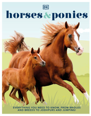 horses and ponies everything you need to know from bridles.jpg