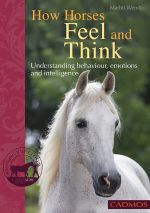 how horses feel and think understanding behaviour emotions.jpg