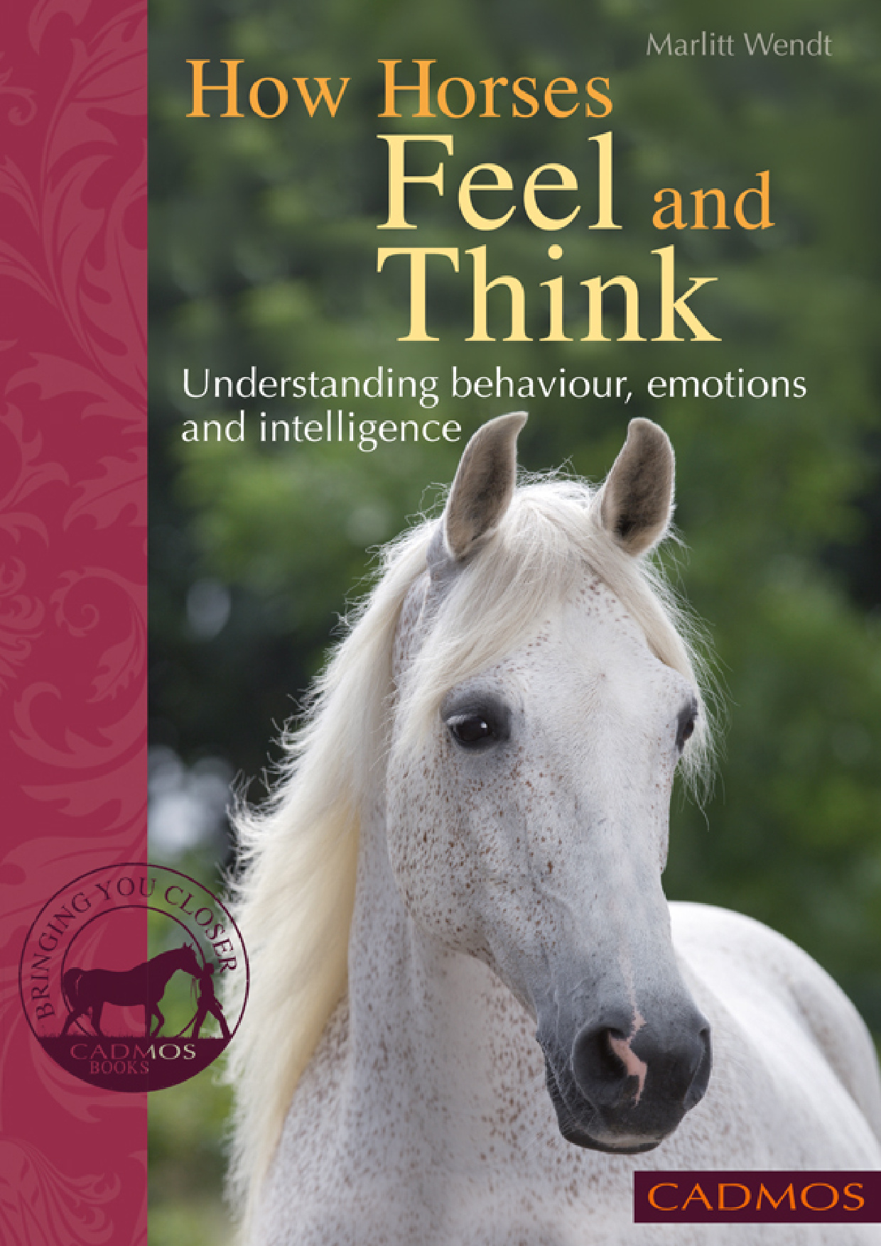 how horses feel and think understanding behaviour emotions.jpg how horses feel and think understanding behaviour emotions.jpg