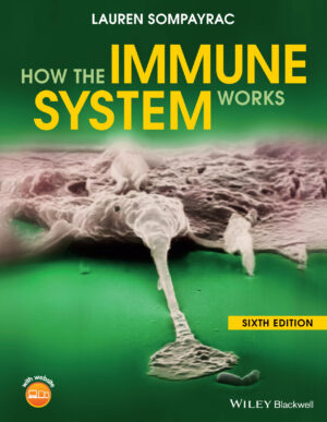 how the immune system works 6th edition ereadspot com .jpg