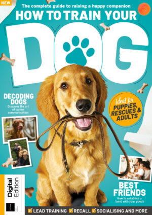 how to train your dog 1st edition 2023 ereadspot.jpg