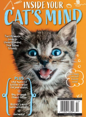 inside your cats mind 4 2024 ereadspot.jpg