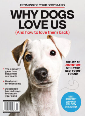 inside your dog s mind why dogs love us 2025 ereadspot.jpg