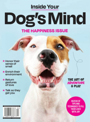 inside your dogs mind 2025 ereadspot.jpg