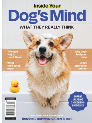 inside your dogs mind ed2 2024 ereadspot.jpg