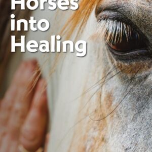 integrating horses into healing cheryl meola ph.d. lcmhcs ncc