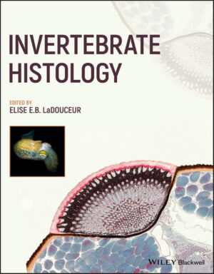 invertebrate histology ereadspot com .jpg