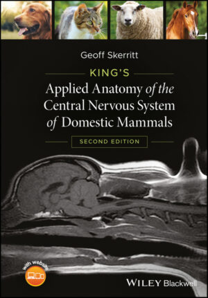 king s applied anatomy of the central nervous system of dome.jpg