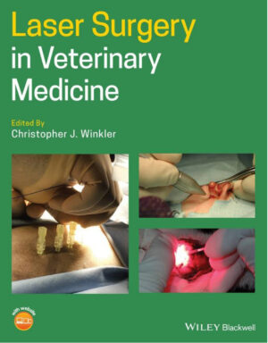 laser surgery in veterinary medicine ereadspot.jpg