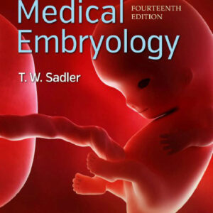 langman s medical embryology 14th edition ereadspot com .jpg