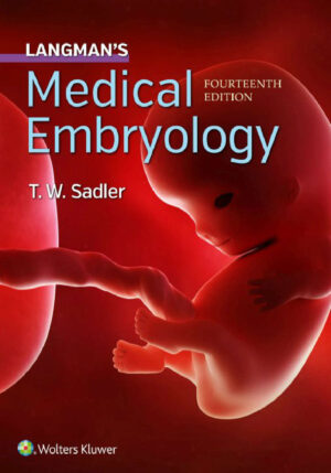 langman s medical embryology 14th edition ereadspot com .jpg