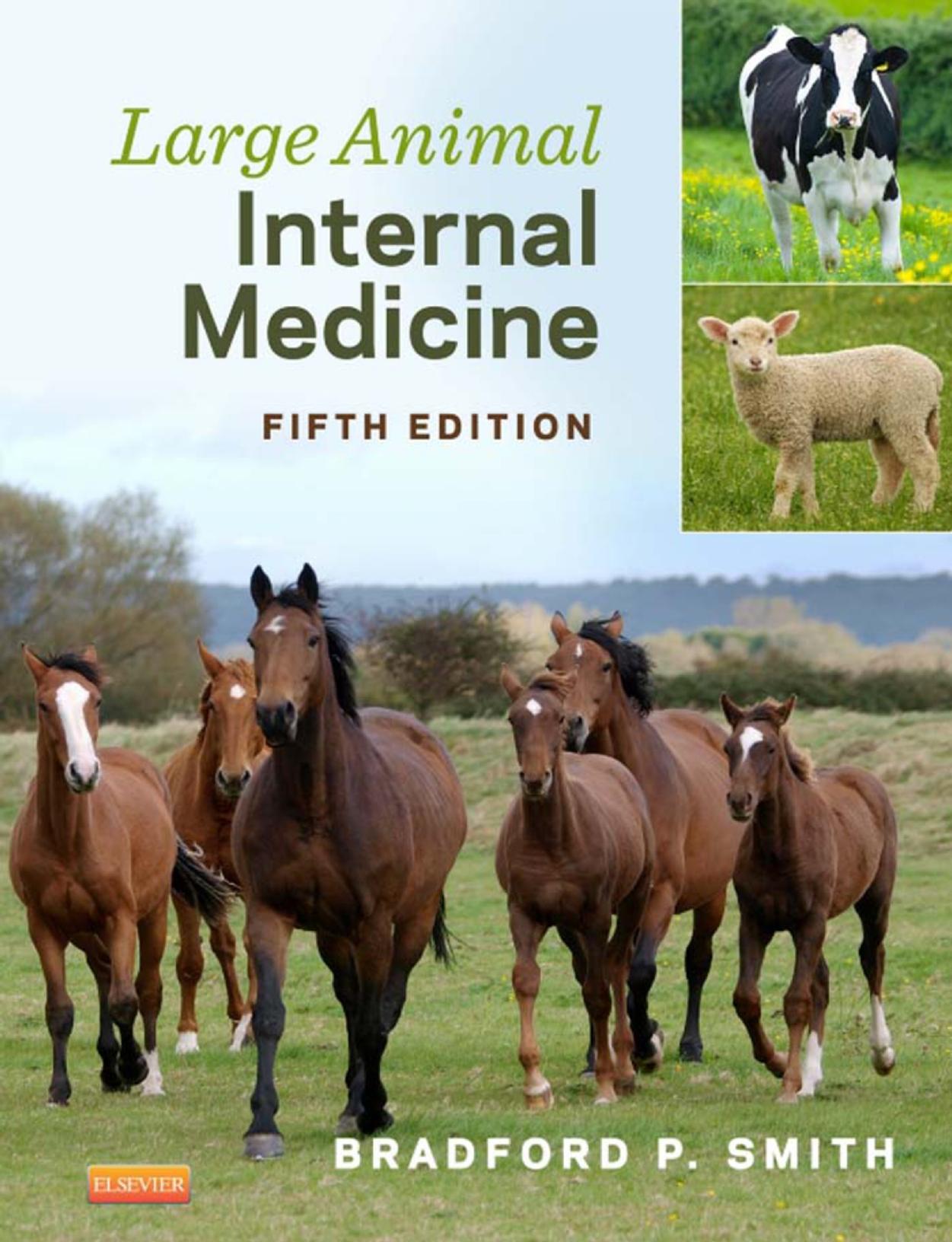 large animal internal medicine (vet ebooks.com) unknown large animal internal medicine (vet ebooks.com) unknown