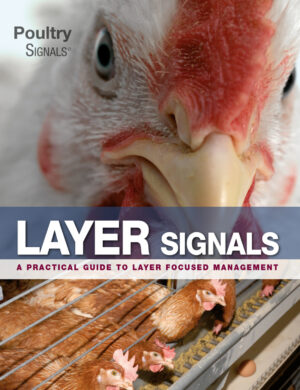layer signals a practical guide to layer focused management.jpg
