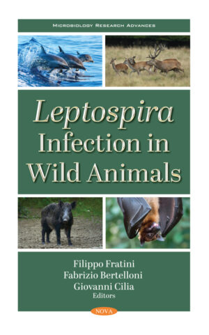 leptospira infection in wild animals ereadspot com .jpg