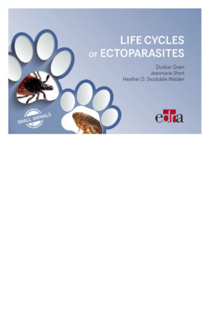 life cycles of ectoparasites in small animals ereadspot com.jpg