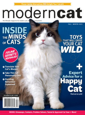 modern cat fall winter 2023 2 ereadspot.jpg